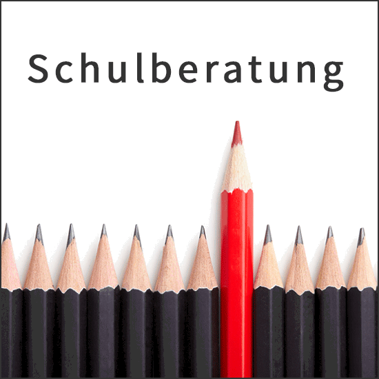 Schulberatung